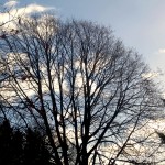 IMG_2473