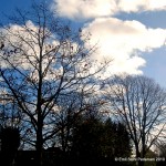 IMG_2477