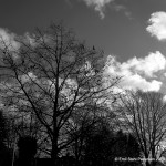 IMG_2479