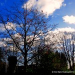 IMG_2484